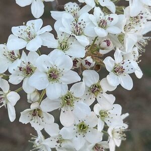 Meet your Posher, Krista